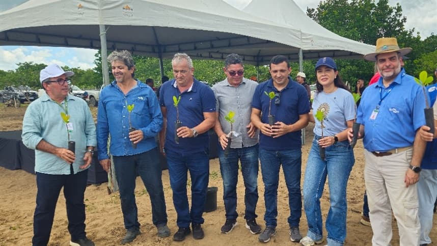 Agricultores de Beberibe e Cascavel adotam tecnologias da Embrapa para aumentar a produção de caju
