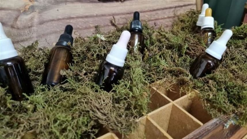 Montenegro programa Seminário Regional de Homeopatia para dia 28