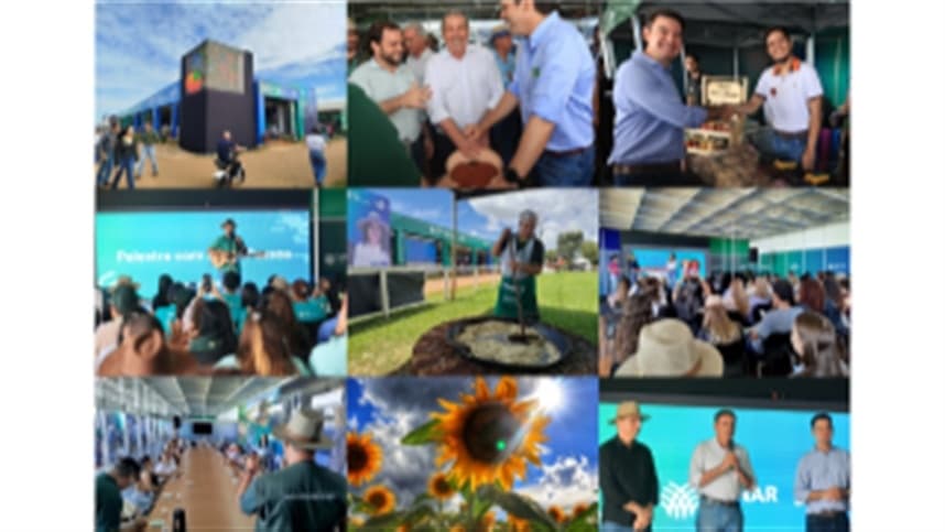 Paçoca de pilão será destaque desta quarta-feira na programação do Senar Goiás na Tecnoshow 2026