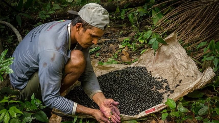 Governo abre inscrições de projeto para regularizar áreas e apoiar produção da agricultura familiar na Amazônia