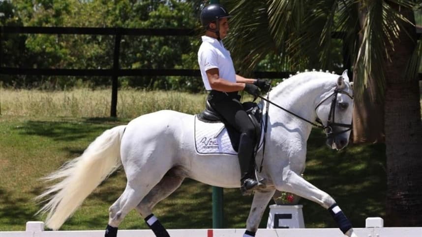 39ª Expo Internacional do Cavalo Lusitano começa nesta sexta