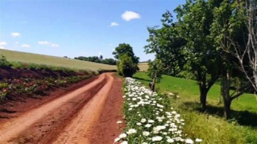 RS: Panambi anuncia vencedores do 2º Concurso de Jardins