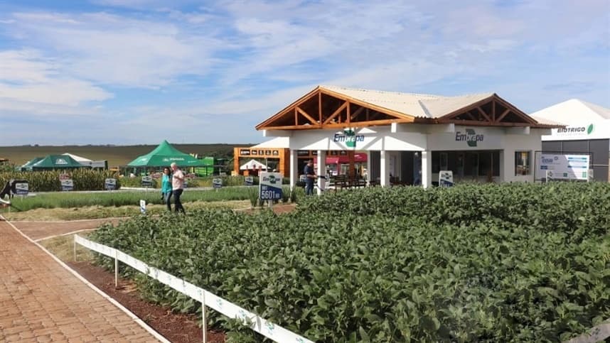 Expoagro Cotricampo contará com palestras na Casa da Embrapa