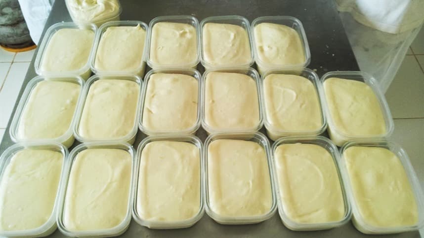 Queijo do Marajó é considerado único no mundo
