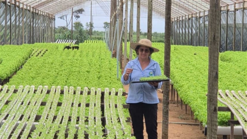No campo, produtora rural transforma conhecimento em renda e sustenta a família com a produção de hidroponia