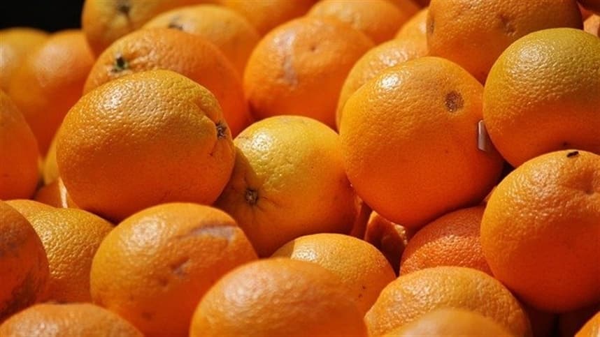 SP: o que muda no agro com redução de ICMS
