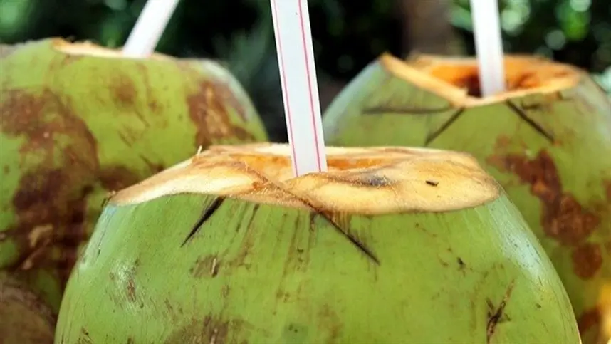 Pesquisadores destacam as características das unidades de produção de coco no estado de SP