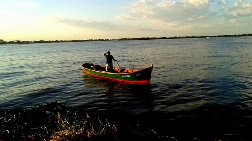 Consulta pública analisa alteração em regras para a pesca de polvo no Sudeste e Sul do país