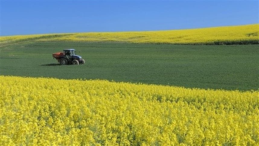 Setor de máquinas agrícolas se reinventa