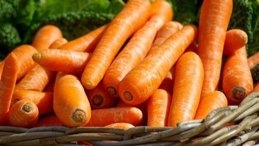 Campo Futuro levanta custos de produção em seis cadeias produtivas essa semana