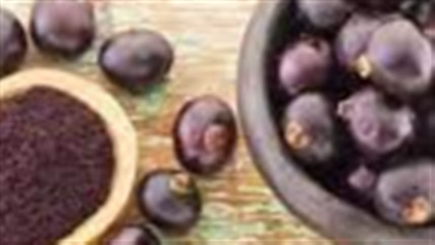 Açaí e guaraná do Amazonas ganham destaque mundial