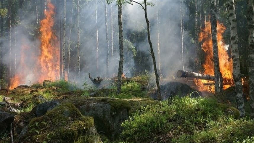 Medida provisória destina recursos para prevenção de incêndios florestais