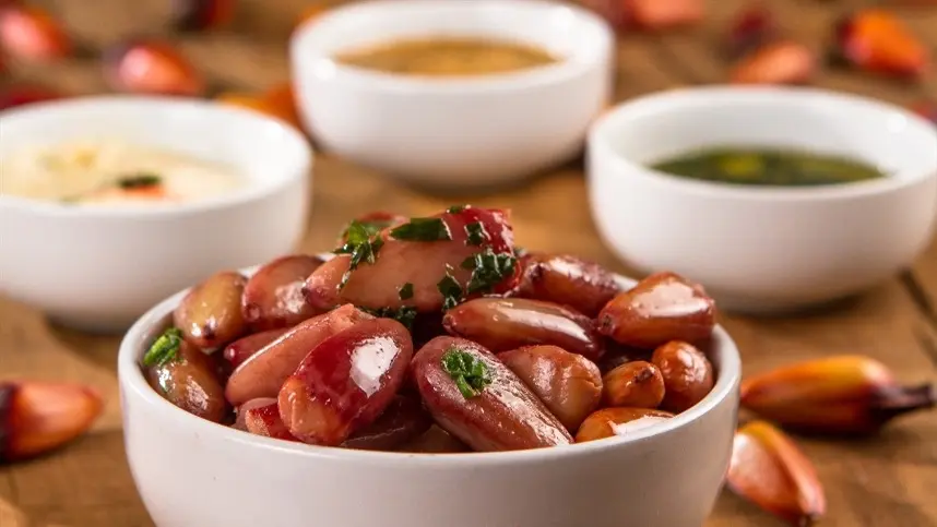 Pinhão faz parte do plano de segurança alimentar de Curitiba