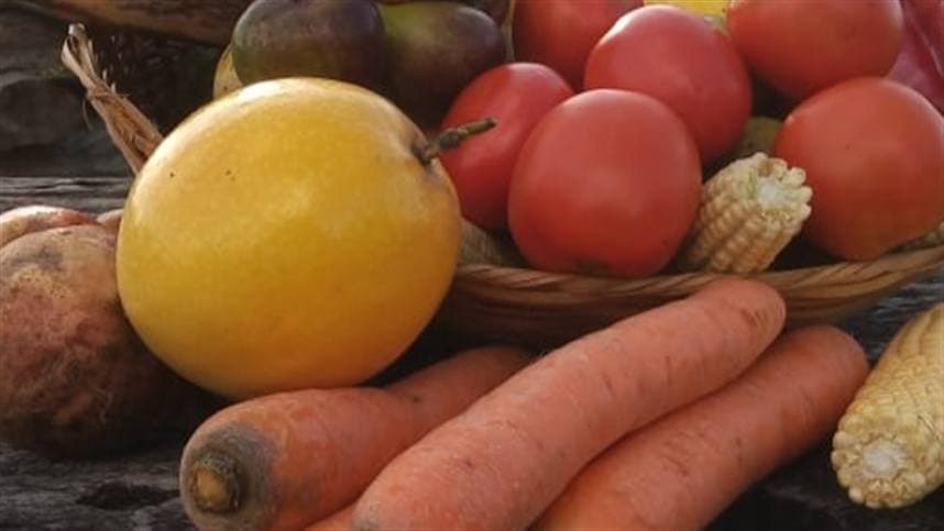 PAA inicia entregas de alimentos em Piraquê-TO