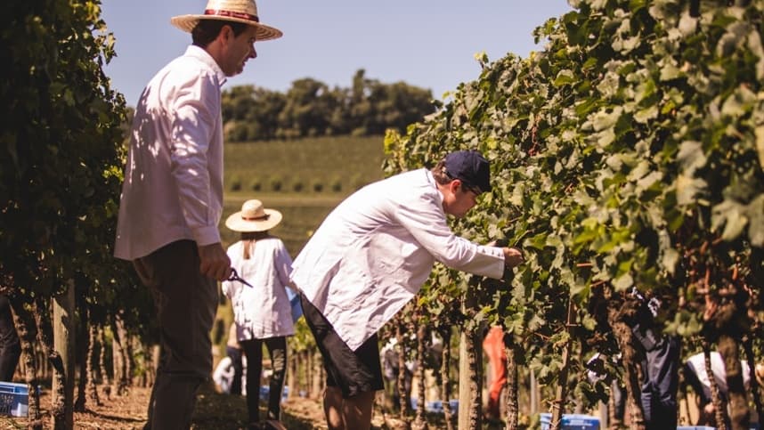 Abertas inscrições para 8ª turma de Vinho Tinto