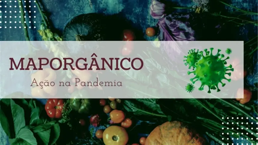 MapOrgânico facilita acesso de produtores aos consumidores de orgânicos durante a Covid-19