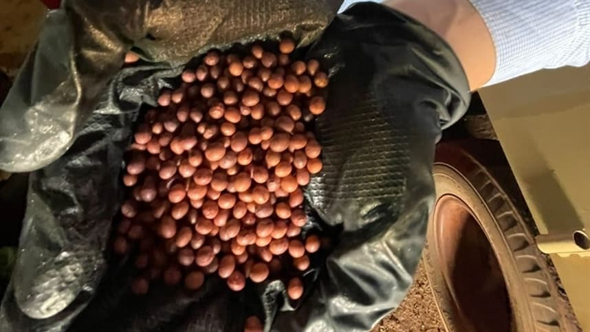 Os benefícios do TSI são evidentes na produtividade dos cultivos