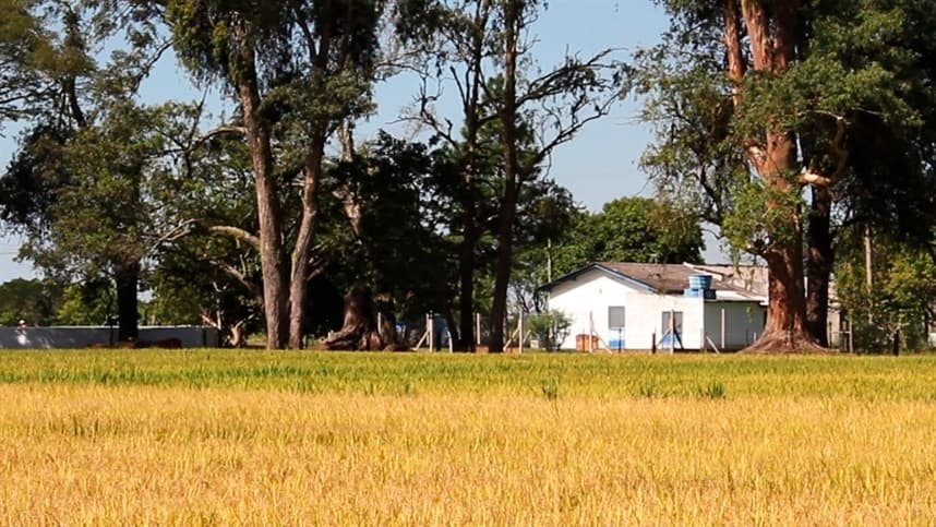 Regularização fundiária é debatida hoje em Marabá (PA)