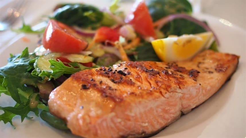 Embrapa realiza pesquisa sobre aceitação do consumidor à carne de peixe cultivada em laboratório