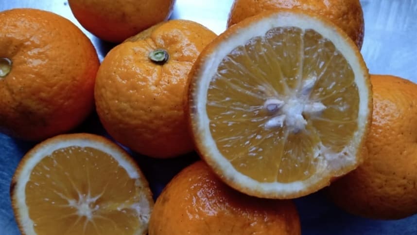 Monitor do Seguro Rural irá avaliar grupo de oito frutas