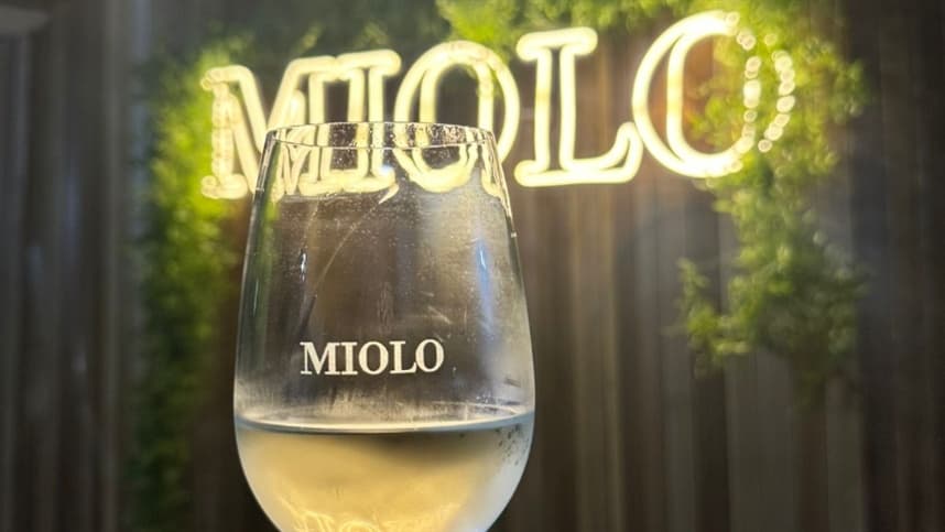 Wine South America impulsiona negócios, conecta mercados e reforça protagonismo da Serra Gaúcha no setor vitivinícola