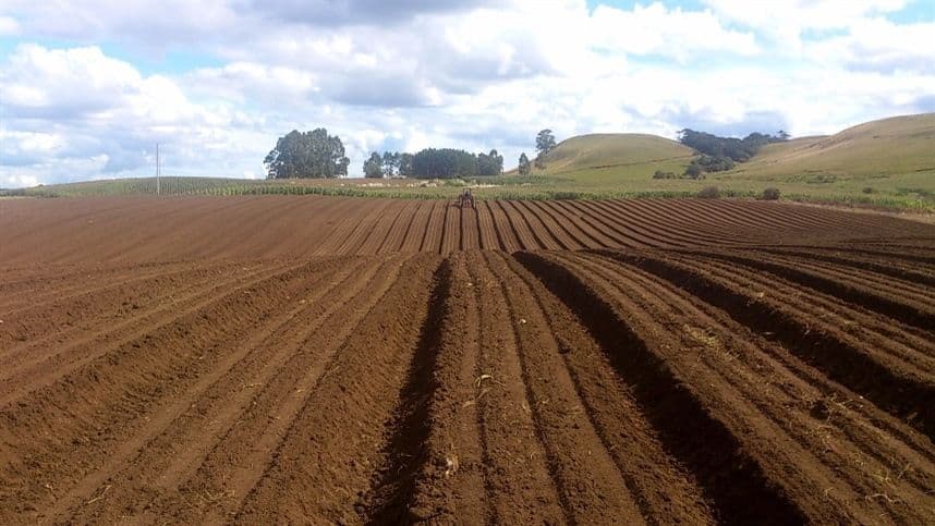 Fertilizante amigável oferece maneira mais verde de cultivo