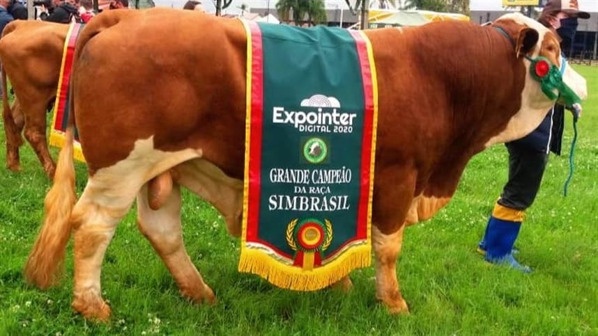Expointer divulga regulamento da exposição de animais