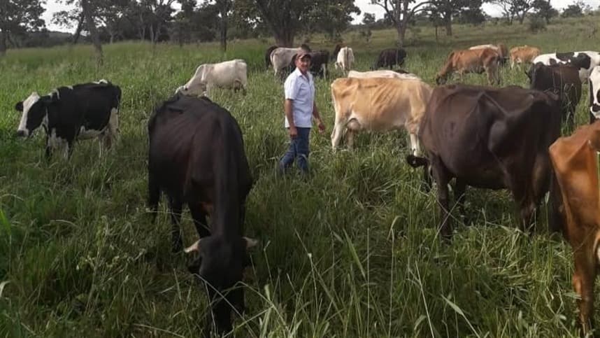 ATeG: Produtor de leite de Ituiutaba mostra a evolução da propriedade ao participar do programa