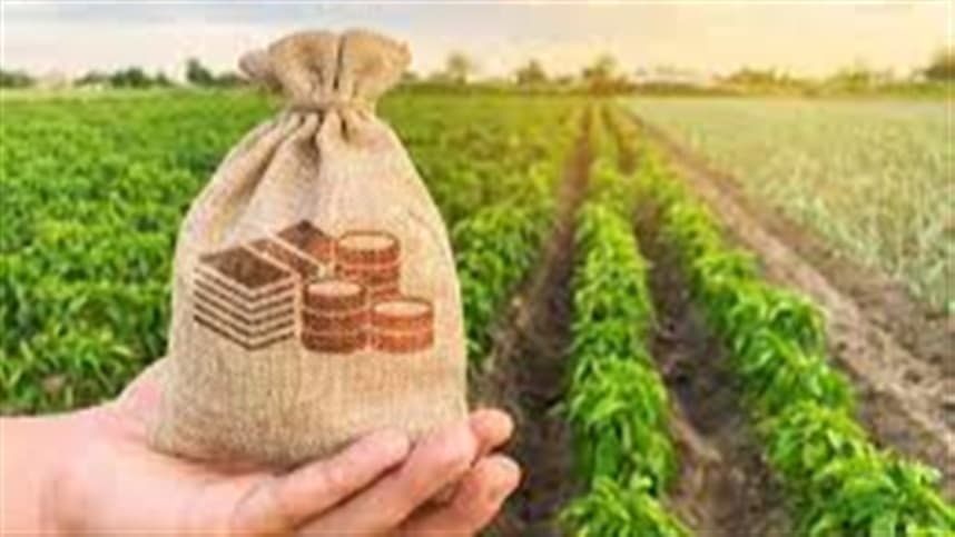 Indefinição da Reforma Tributária afeta o agro