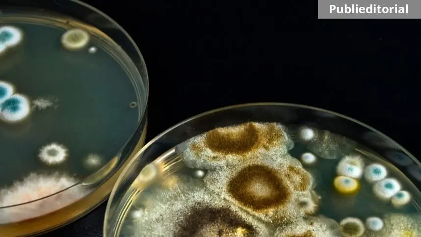 Bioinsumos: importante recurso para impulsionar a sustentabilidade sem perdas de produtividade