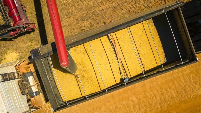 Demanda chinesa por alimentos dá sinais de estabilização, aponta estudo