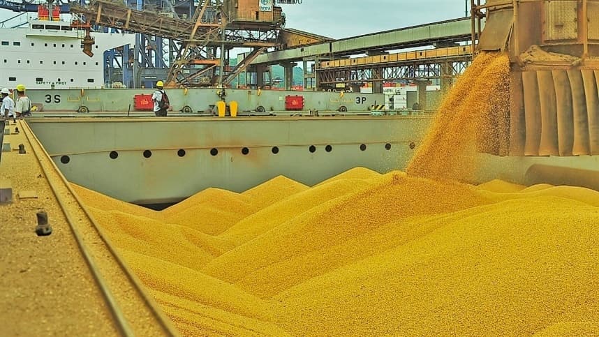 Esse padrão exige práticas agrícolas sustentáveis