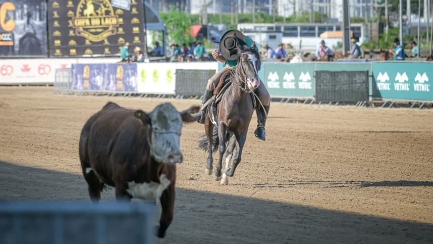 Final Nacional do Crioulaço abre ciclo da raça Crioula em 2023