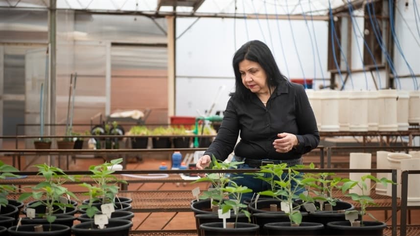 Mariangela Hungria está na lista TIME100 Climate 2025 como personalidade influente em questões do clima