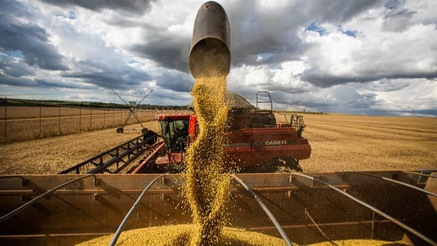 Bahia mantém recorde em produção agrícola