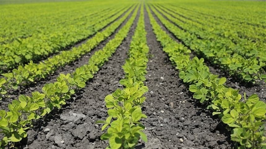 Lançado fertilizante com formulação inédita no mercado
