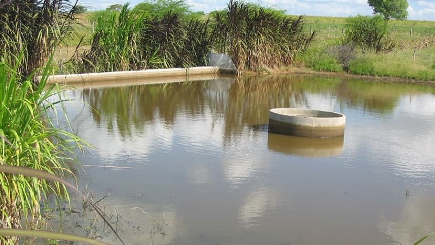 Estudo revela impactos positivos das barragens subterrâneas