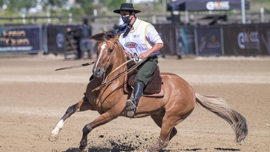 Classificatória Aberta ao Freio de Ouro ocorre na Expointer