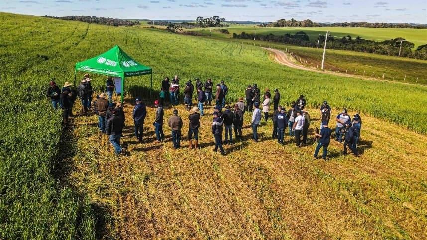 SC: Dia de Campo ATeG reúne mais de 250 produtores do meio oeste em Campos Novos