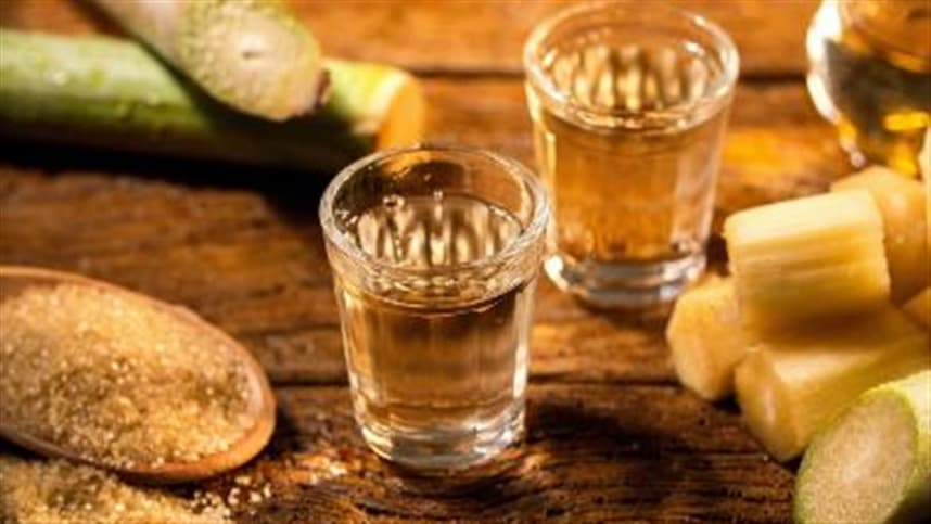 Cachaça catarinense vence prêmio nacional de qualidade