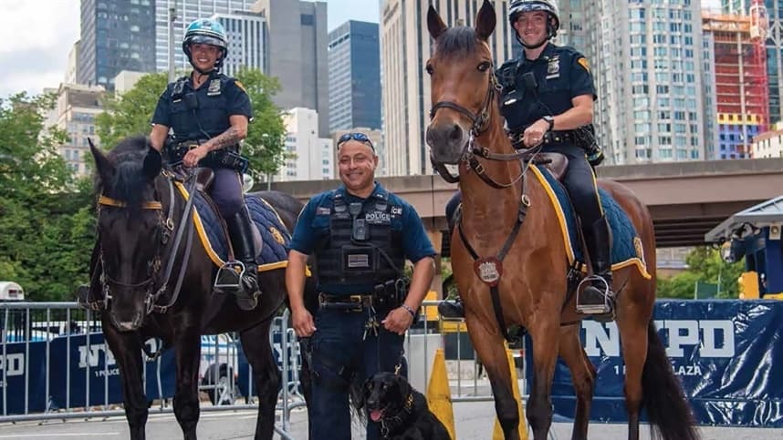 Animais integrantes da polícia posam para calendário