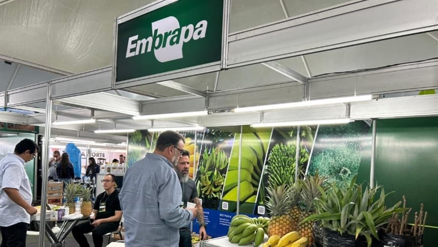 Embrapa marca presença no Fruit Connections 2026