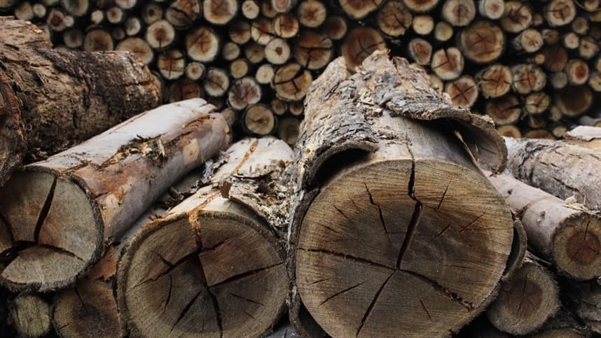 Empresa vai produzir ácido sulfúrico com resíduos de celulose