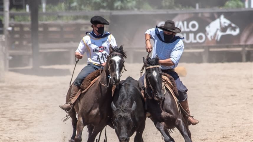 Cavalo Crioulo dá continuidade ao ciclo com final da Paleteada