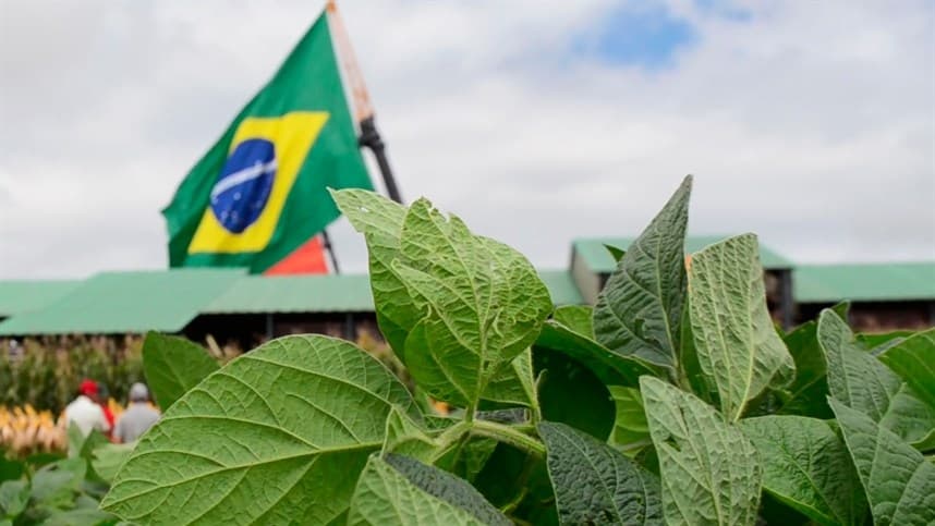 Para Conab safra de grãos será recorde