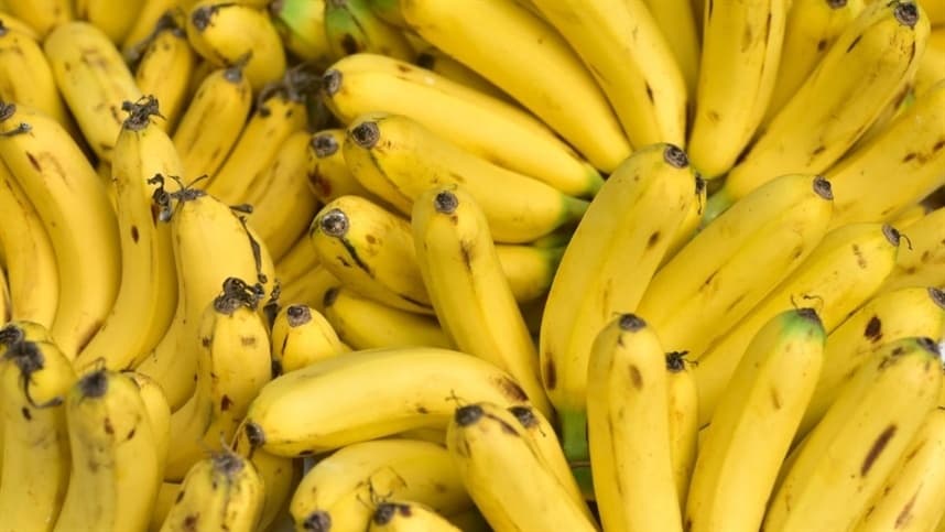 Chegou a hora? Preços da banana nanica sinalizam alta