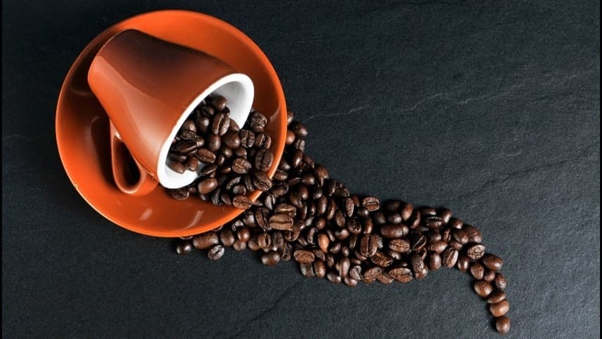 Café em formação: atenção ao controle de plantas daninhas