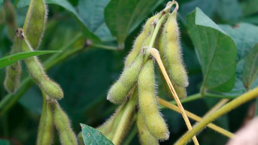 FMC debate futuro da cultura da soja na Expodireto Cotrijal