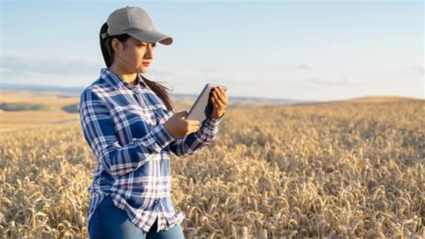 São Paulo lança crédito rural exclusivo para mulheres
