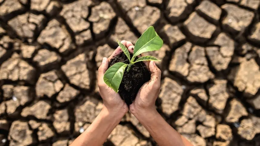 Brasil deve ser o principal afetado pelo El Niño na América do Sul